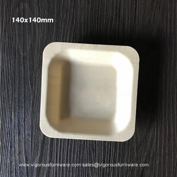 Disposable food plates 3