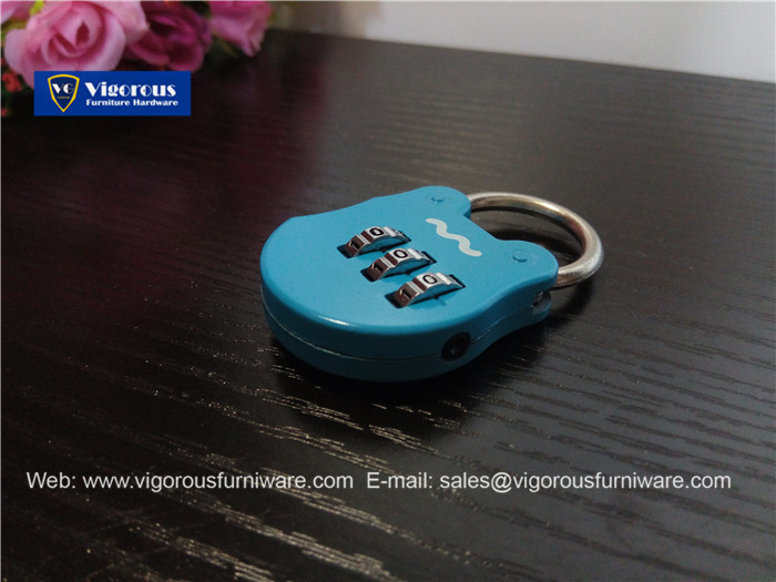 vigorous-manufacture-of-animal-lock-heart-lock10