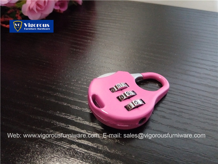 vigorous-manufacture-of-animal-lock-heart-lock54