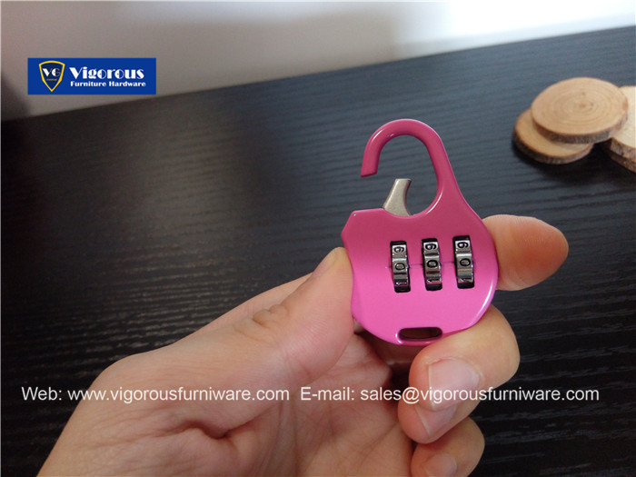 vigorous-manufacture-of-animal-lock-heart-lock61